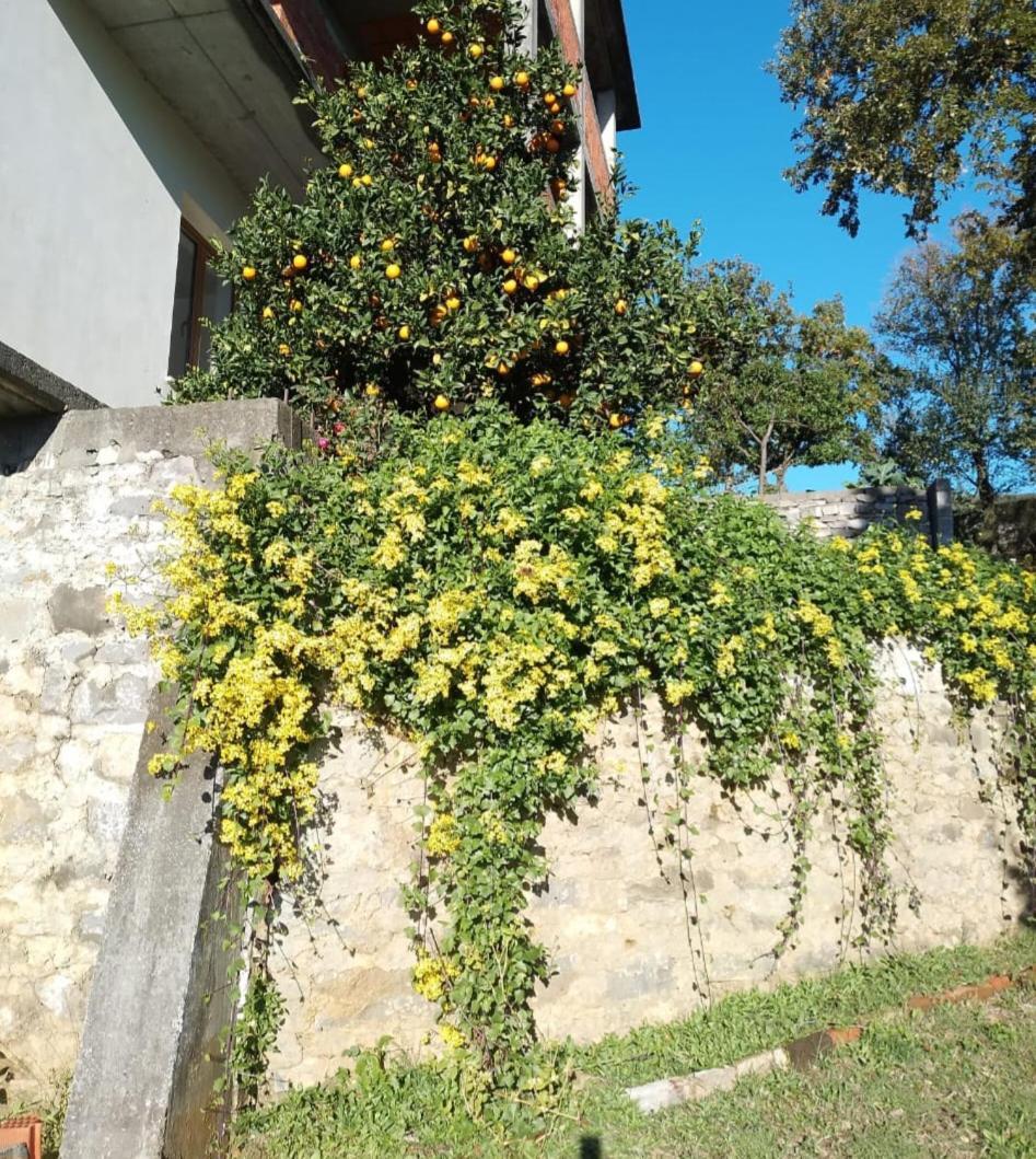 Feriehus Merqi *